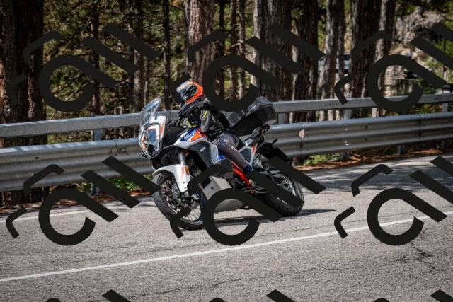 202508241211-DSC_7655_c2