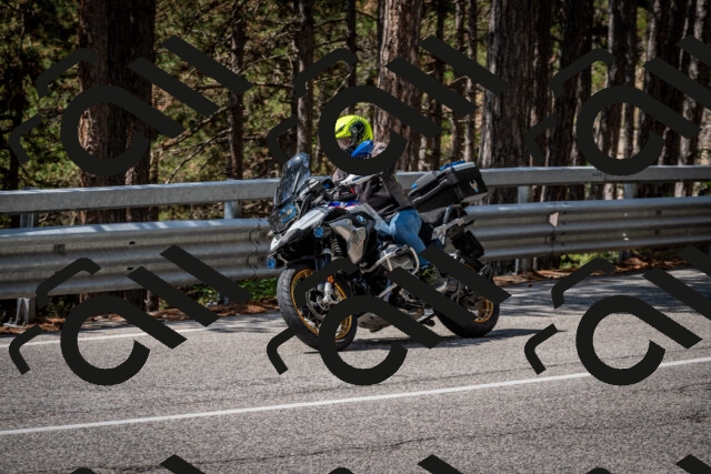 202508241214-DSC_7663_c2