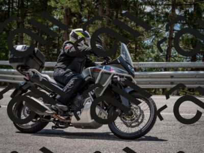 202508241225-DSC_7686_c2