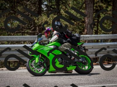 202508241227-DSC_7700_c2