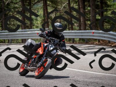 202508241228-DSC_7703_c2