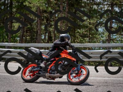 202508241228-DSC_7704_c2