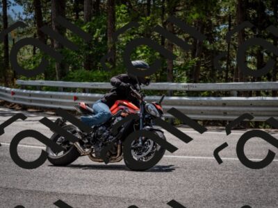 202508241239-DSC_7784_c2