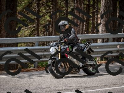 202508241247-DSC_7834_c2