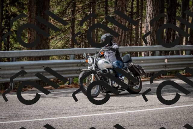 202508241300-DSC_7897_c2