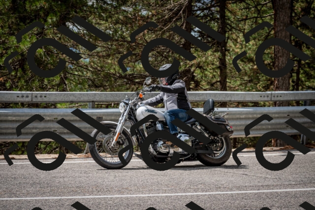 202508241300-DSC_7898_c2