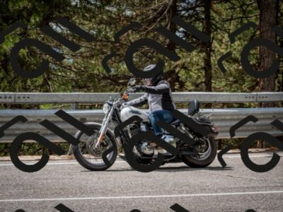 202508241300-DSC_7898_c2