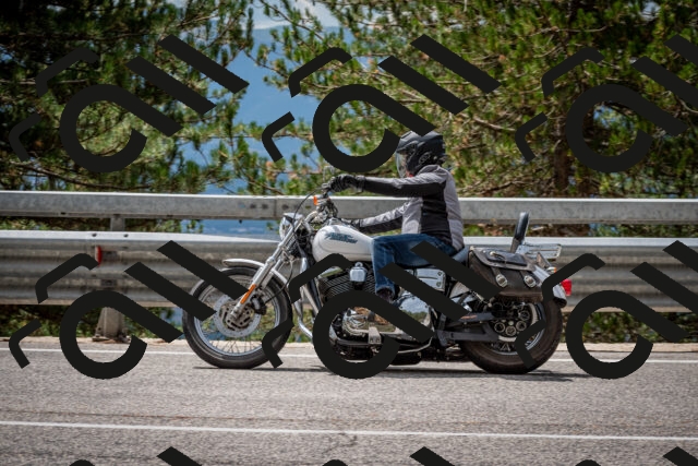 202508241300-DSC_7899_c2