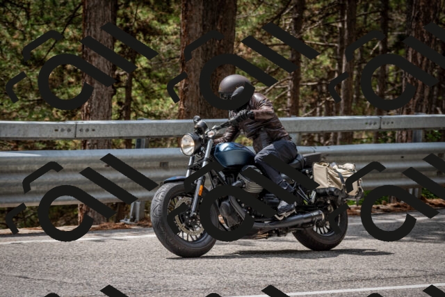 202508241300-DSC_7900_c2