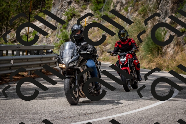 202508241301-DSC_7906_c2