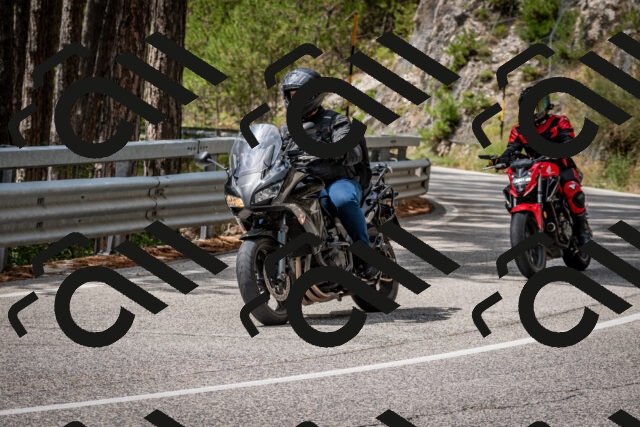 202508241301-DSC_7907_c2