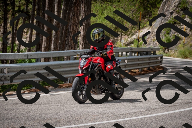 202508241301-DSC_7908_c2