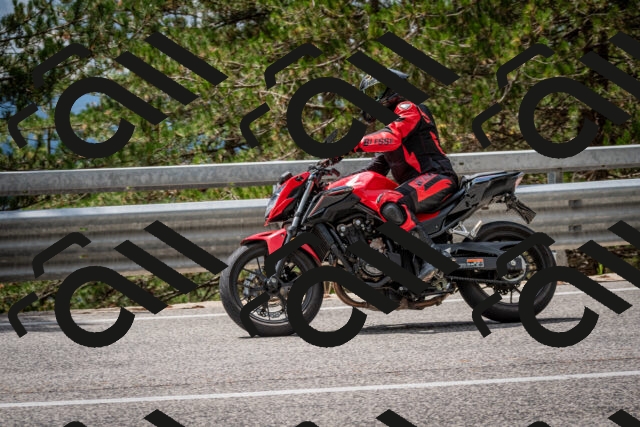 202508241301-DSC_7909_c2