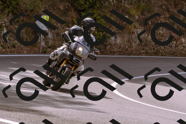 202508241108-_DSC7074_d1_