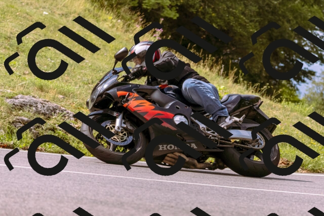 202508241109-_DSC7086_d1_