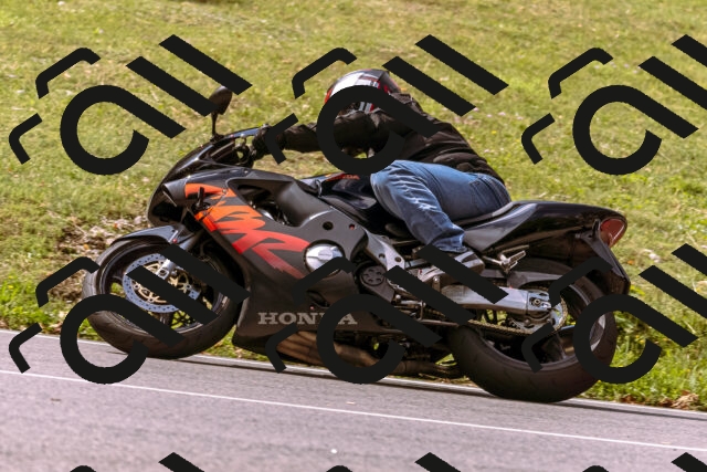 202508241109-_DSC7087_d1_