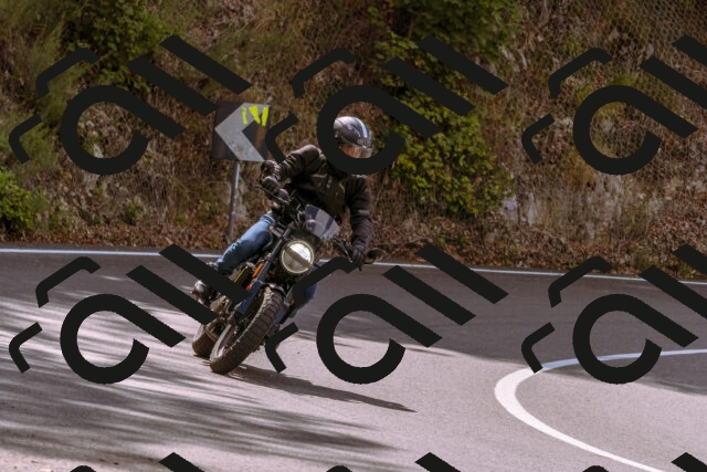 202508241110-_DSC7090_d1_