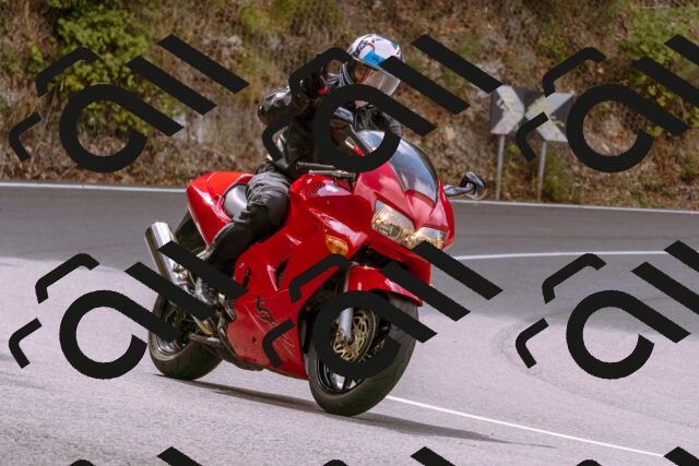 202508241113-_DSC7100_d1_