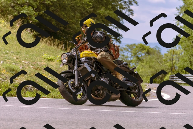 202508241127-_DSC7141_d1_