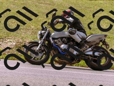 202508241128-_DSC7152_d1_