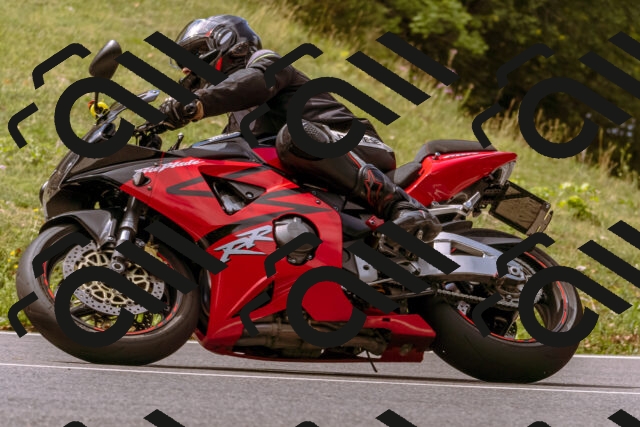 202508241134-_DSC7177_d1_