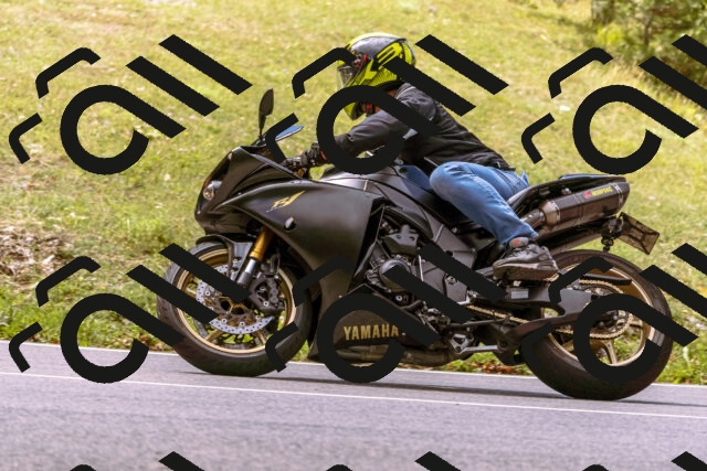 202508241134-_DSC7192_d1_