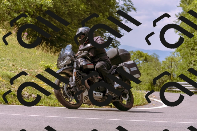 202508241136-_DSC7194_d1_