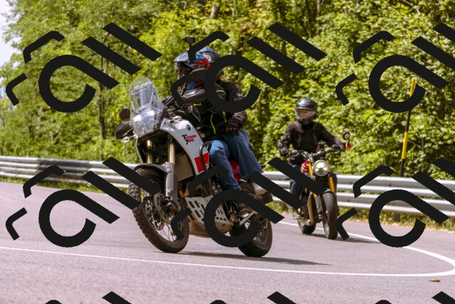 202508241136-_DSC7196_d1_