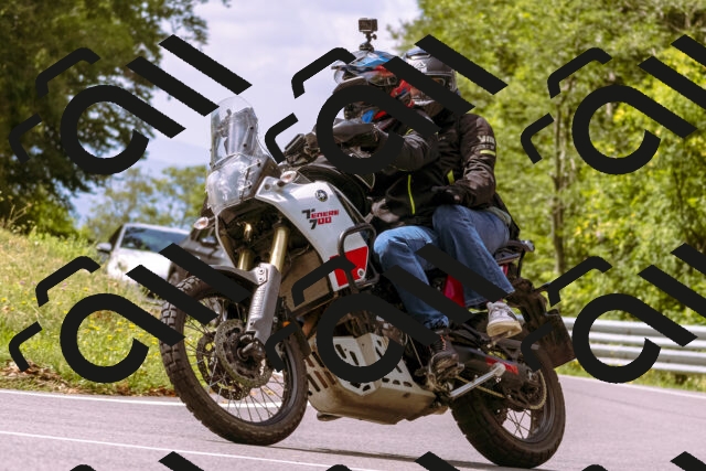 202508241136-_DSC7197_d1_