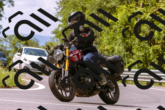 202508241136-_DSC7198_d1_