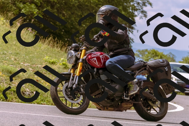 202508241136-_DSC7199_d1_