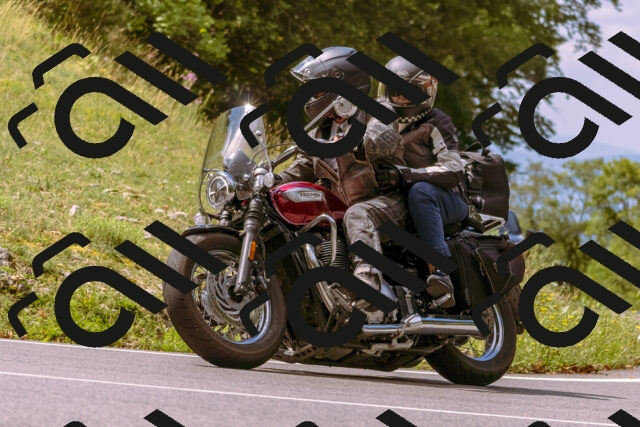 202508241136-_DSC7205_d1_