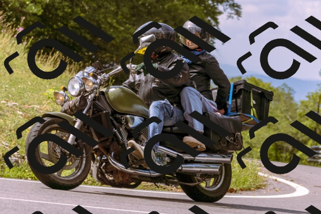 202508241137-_DSC7211_d1_