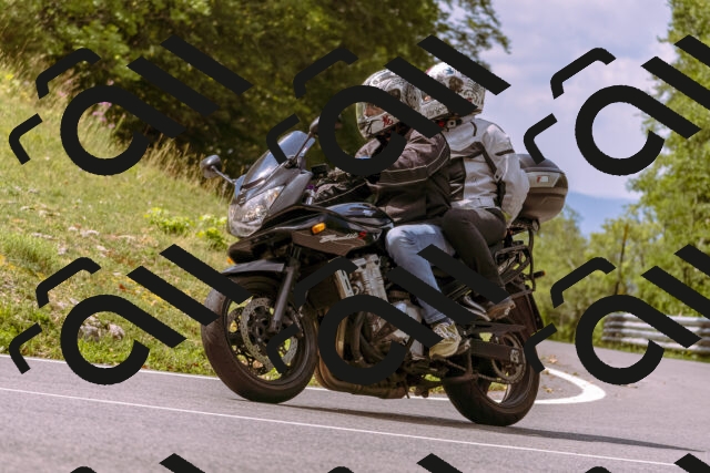 202508241137-_DSC7213_d1_