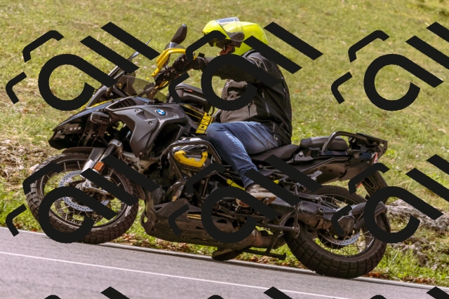 202508241137-_DSC7220_d1_