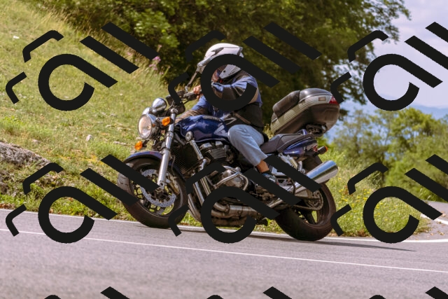 202508241137-_DSC7222_d1_