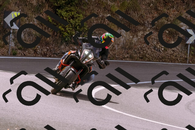 202508241138-_DSC7227_d1_