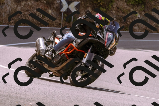 202508241138-_DSC7229_d1_