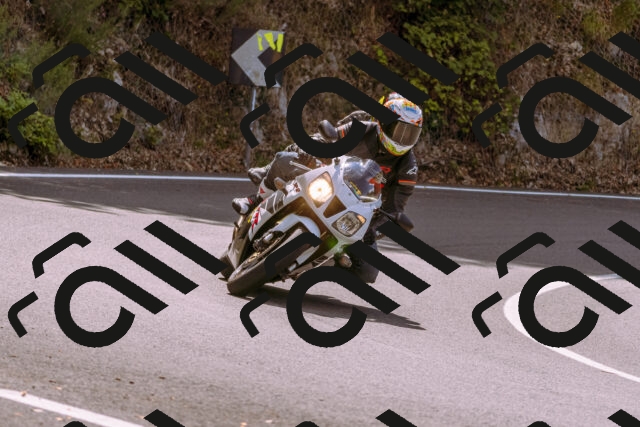 202508241139-_DSC7230_d1_