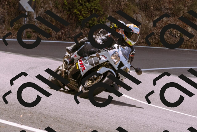 202508241139-_DSC7231_d1_