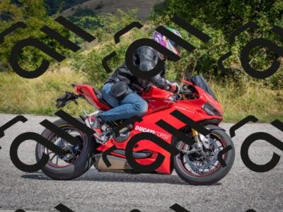 202508241135-DSC_7962_c4_