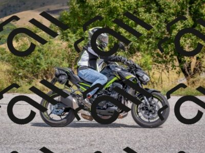 202508241149-DSC_8034_c4_