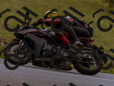 202508241212-_DSC7410_d1_