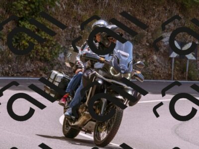 202508241231-_DSC7473_d1_