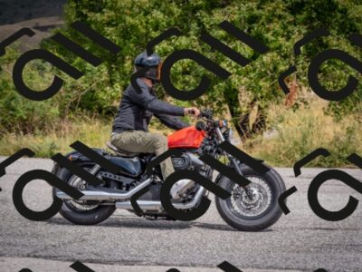 202508241205-DSC_8136_c4_