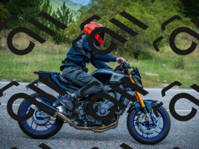 202508241208-DSC01175_c1_