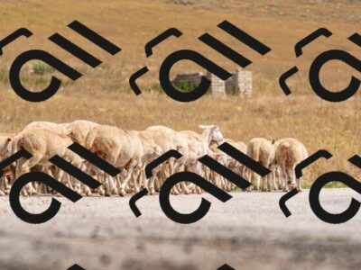 20250824125506-R01_2265_r1