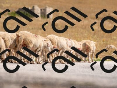 20250824125508-R01_2266_r1