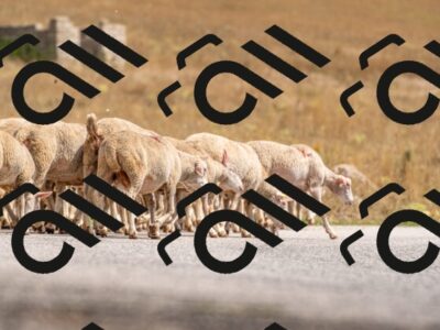 20250824125508-R01_2268_r1