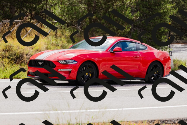 202508301020-_04A5404_c3